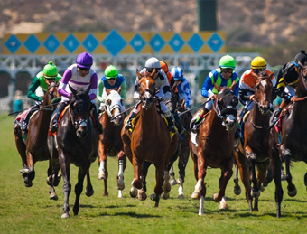 Horse Racing Racetracks - Del Mar - BUSR