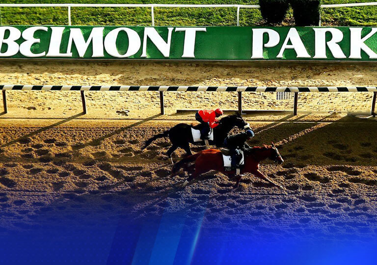 Belmont park horse racing betting online cardlogix investing for dummies