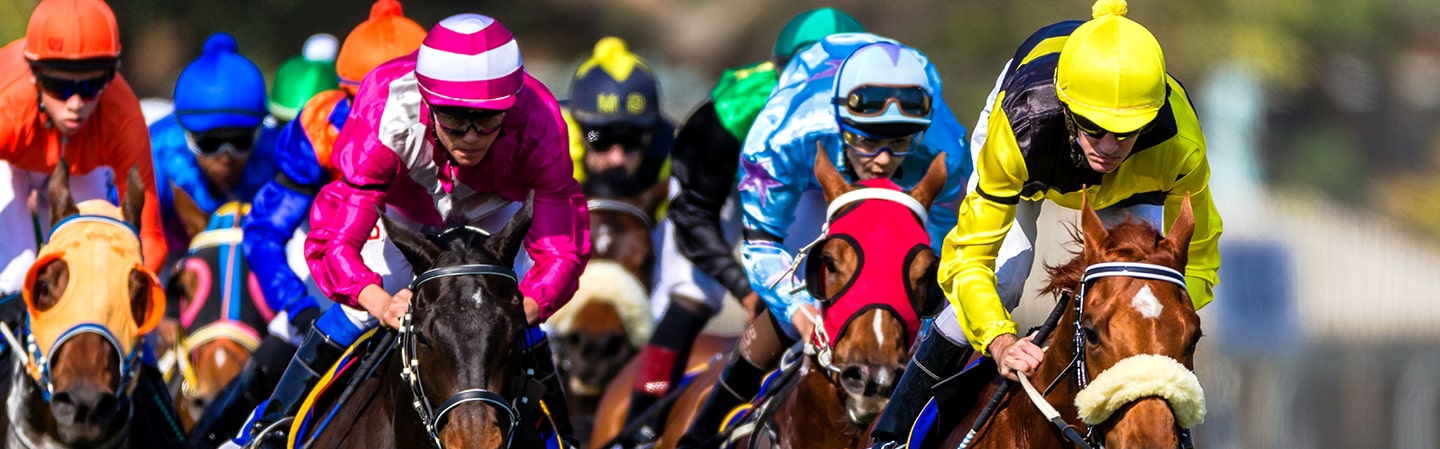 Breeders' Cup - Betting - BUSR