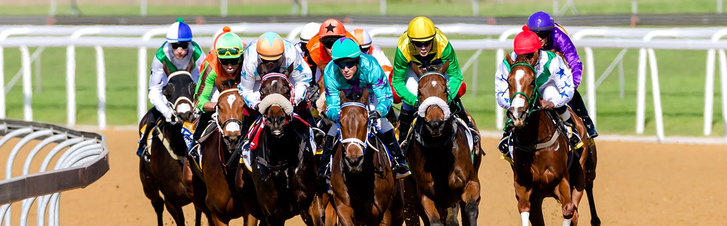 Breeders' Cup - BUSR
