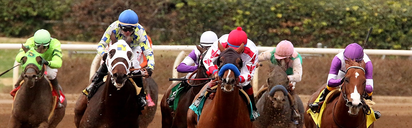 Breeders cup betting challenge 2022 results the voice crowd investing platform marketing