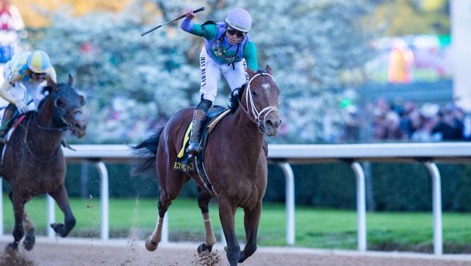 Okiru daby リズム rhythm レトロ レア 希少 競馬 Derby Uma Musume Pretty Derby KFC Kentucky Limited promo card Japanese